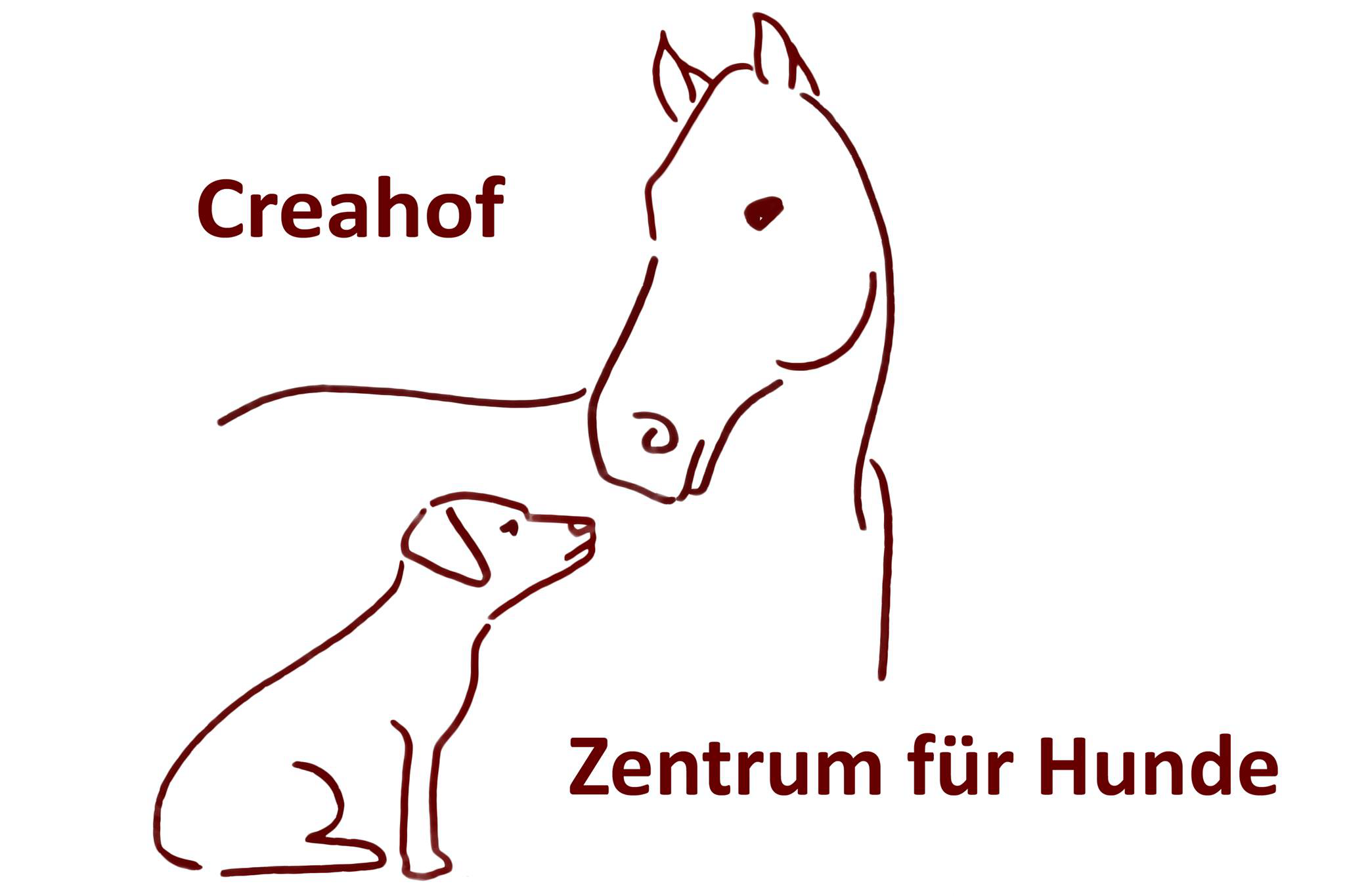 (c) Hundeschule-juelich.de